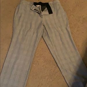 Avenue Dress Pants